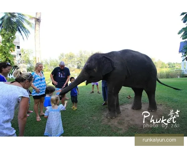 泰国队战象吼声助威 东南亚杯表现稳健